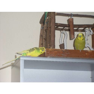 Trixie-natural-living-spielplatz-fuer-voegel