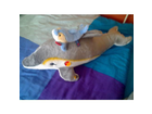 Steiff-cappy-delphin-063183