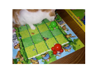 Im-waldstadion-spielt-die-katzenmama-mit