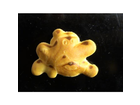 Asterix-obelix-mini-snack-sea-salt-obelix-kopf