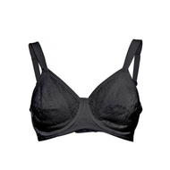 Minimizer-bh-schwarz-cup-d