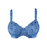 Minimizer-bh-blau