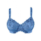 Minimizer-bh-blau