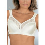 Bh-minimizer-cup-b