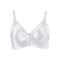 Bh-minimizer-weiss-cup-d