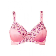 Bh-minimizer-rosa