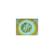 Kania-salatcroutons