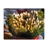 100er-lichterkette-von-plus