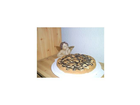 Der-fertige-marzipan-apfel-kuchen-von-einem-anderen-blickwinkel