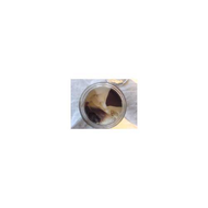 Penotti-duo-penotti-milch-haselnuss-karamellcreme