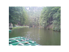 Amselteich