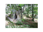 Wald-und-fels