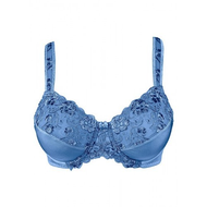 Minimizer-bh-blau