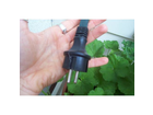 Der-stecker