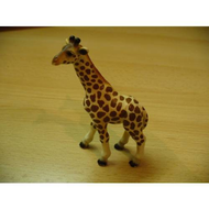 Giraffenbaby