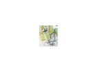 Tcm-garnier-set