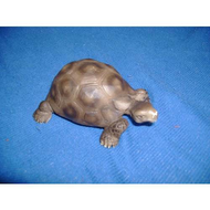 Schleich Wild Life 14304 Riesenschildkröte Testberichte bei yopi.de