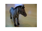Zebrafohlen
