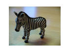 Zebrafohlen