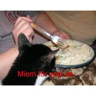 Herr-max