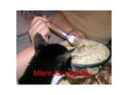 Herr-max