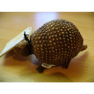 Glyptodon
