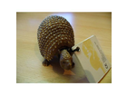 Glyptodon