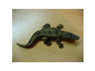 Krokodil