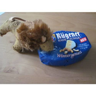 Ruegener-badejunge-wintergenuss