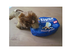 Ruegener-badejunge-wintergenuss