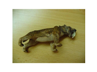 Smilodon