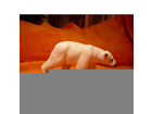Schleich-wild-life-14357-eisbaerin