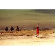 Beachboys