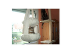 Gizmo