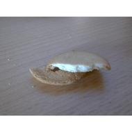 Der-zerbrochene-keks