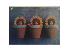 Da-wachsen-die-babys-in-blumentoepfen