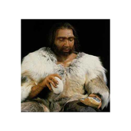 Neanderthaler-bei-der-arbeit