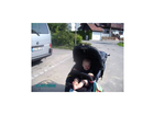 Unser-kleiner-mann-in-seinem-rennwagen