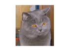 Kater-baxter