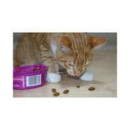Whiskas-knuspertaschen-rind