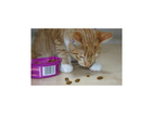 Whiskas-knuspertaschen-rind