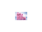Loreal-elvita-nutri-gloss-shampoo