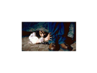 Boeses-maedchen-unterm-bett