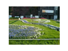 Bild-2