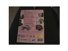 Die-rueckseite-der-dvd