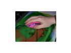 Und-so-liegt-sie-bei-mir-in-der-hand