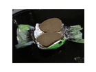 Lidl-favorina-edelmarzipan-ei-gefuellt-mit-haselnussnougat-hier-liegen-meine-besseren-haelften-entblaettert-vor-mir