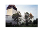 Auf-diesem-foto-sieht-man-die-burg-auf-der-wir-eine-woche-gelebt-haben-diese-zeit-war-echt-ein-erlebnis