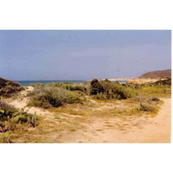 Costa-caribe-beach-hotel-isla-margarita