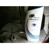Quackys-head-shoulders-die-vorderansicht